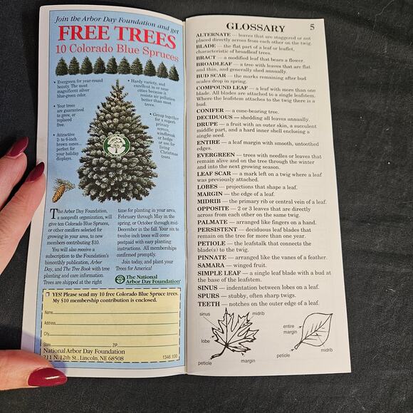 Vintage The National Arbor Day Foundation What Tree Is That Guide Lot of 10 - Picture 3 of 6